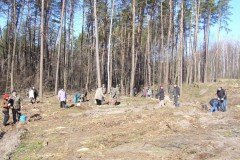 20 квітня 2011