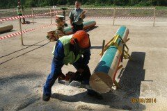 Конкурс вальників лісу 2014